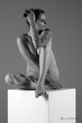 Photo Bernard Delhalle
