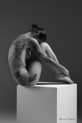 Photo Bernard Delhalle