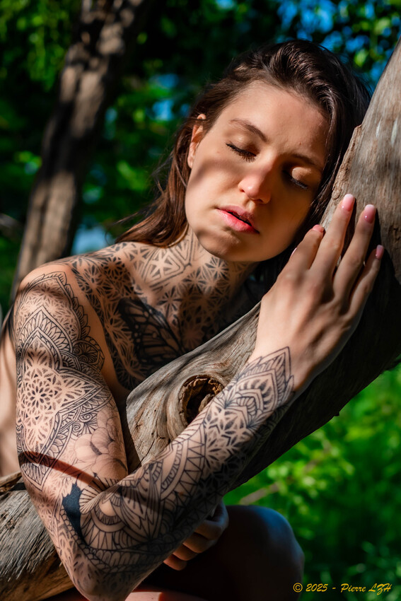 @l_papillondejour_