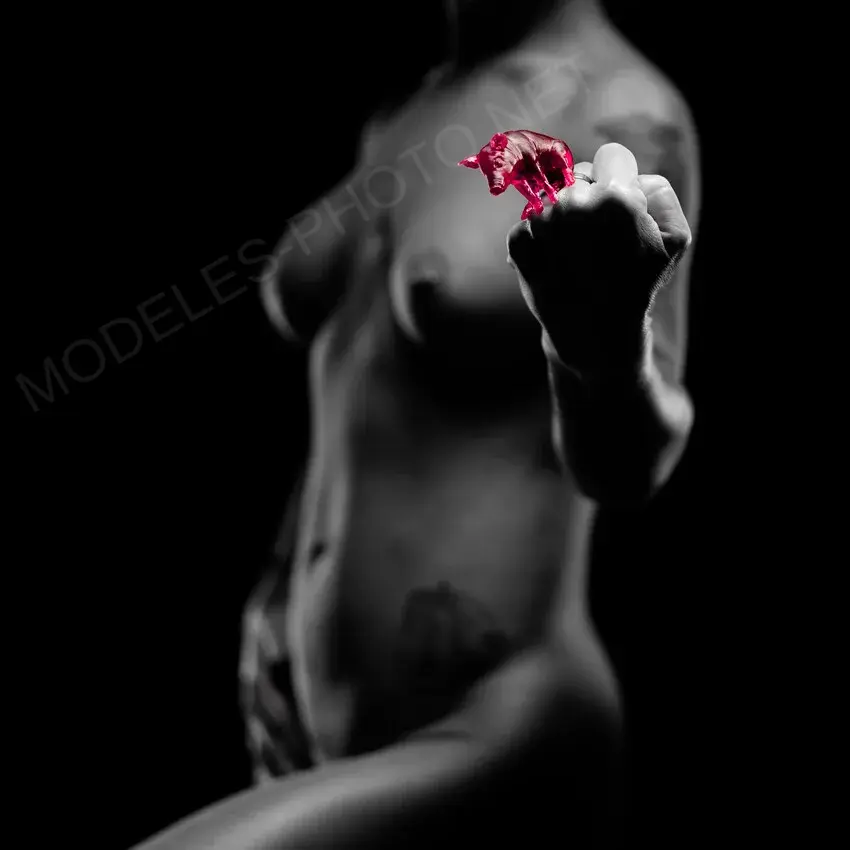 Heures dombre Photographe 