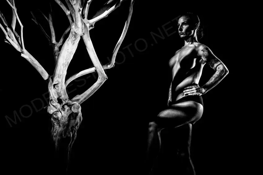 Heures dombre Photographe 