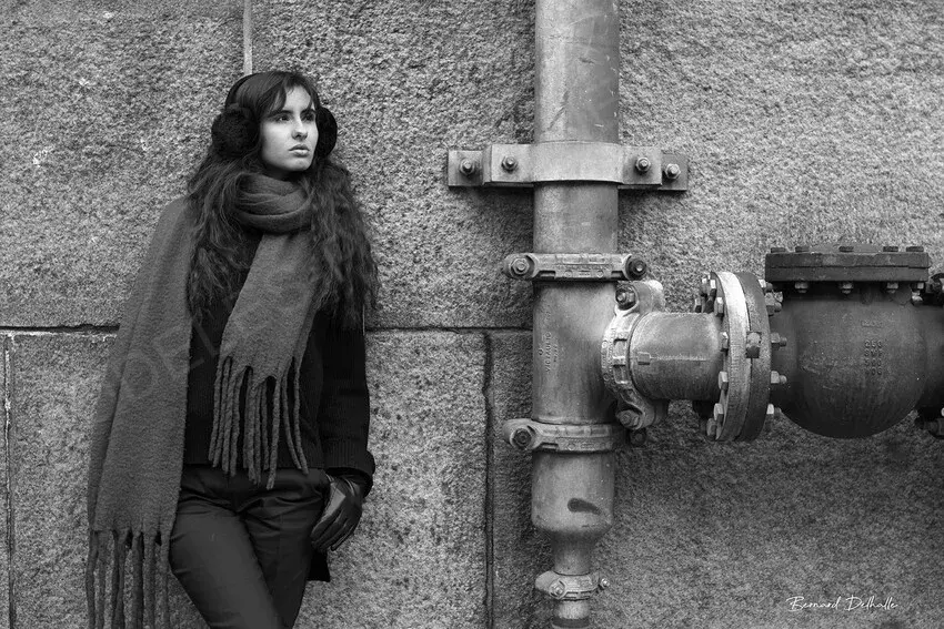Delhalle Bernard Photographe 
