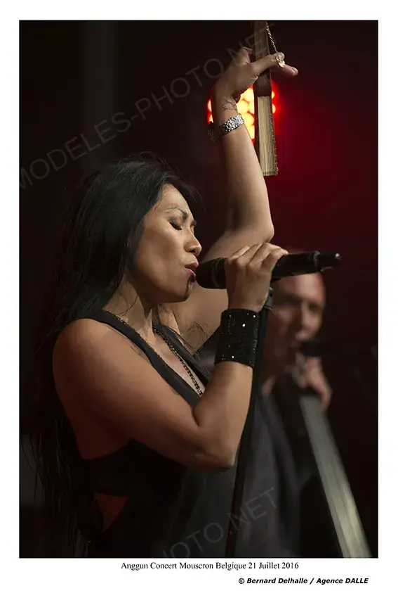 Delhalle Bernard Photographe 