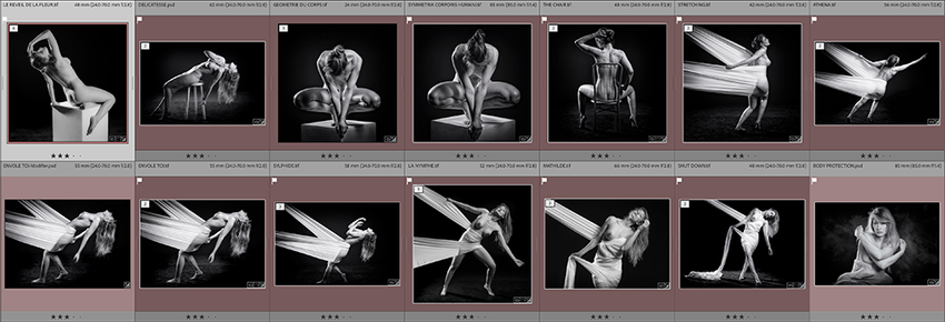 Luc Mairesse   /   Mes_yeux_ont_vu Photographe 