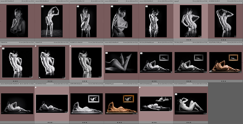 Luc Mairesse   /   Mes_yeux_ont_vu Photographe 