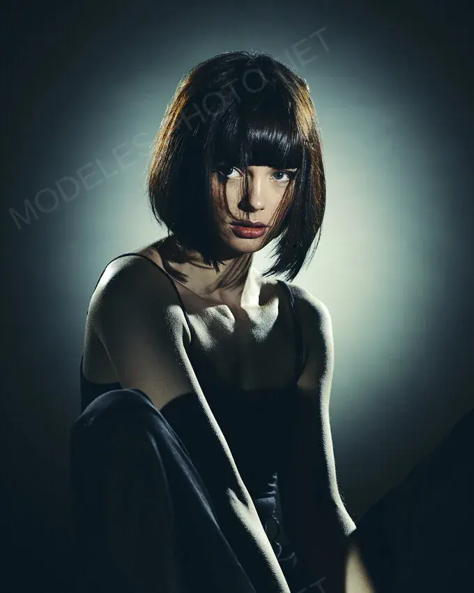 Monarque Photographie Photographe 