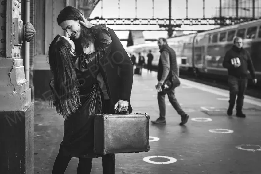 Monarque Photographie Photographe 