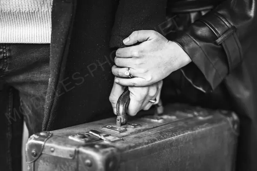 Monarque Photographie Photographe 