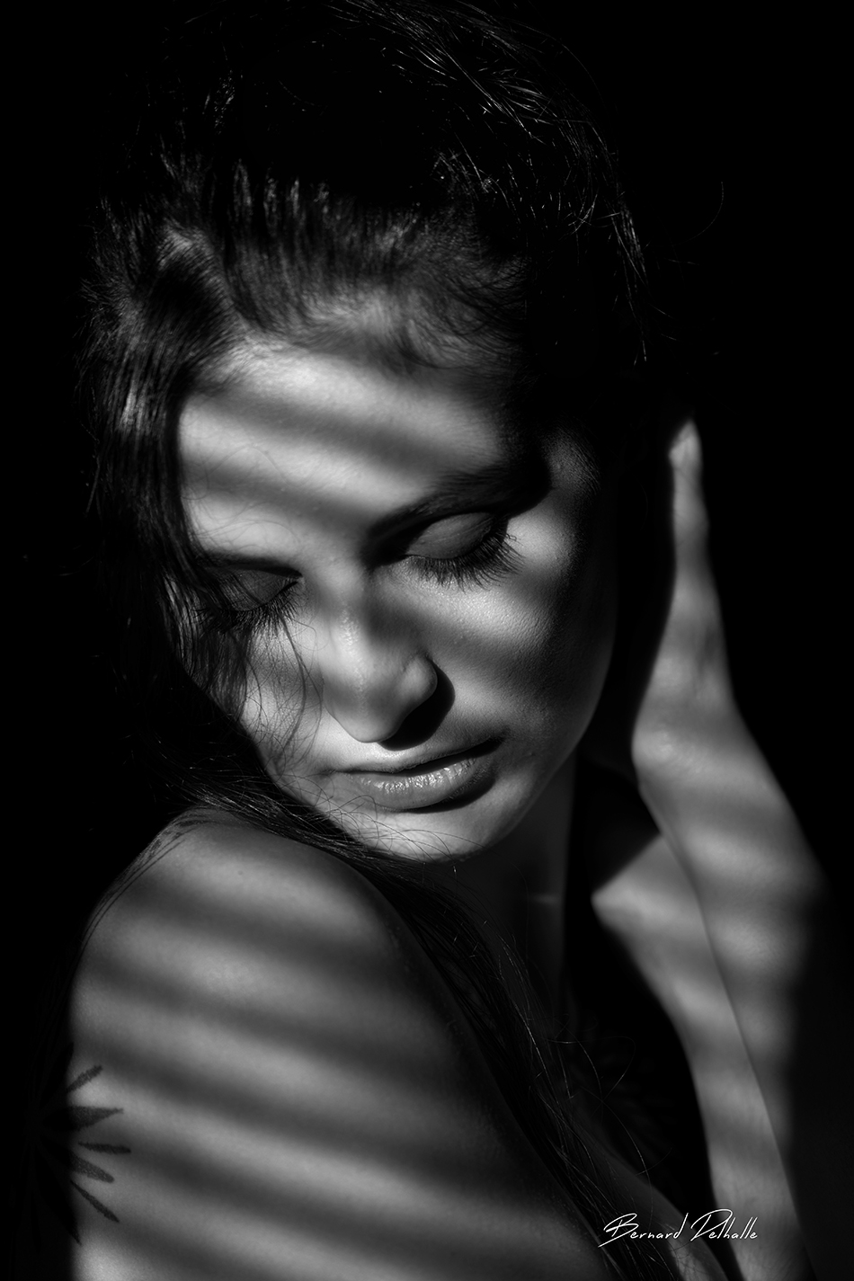 Photo de l_papillondejour_